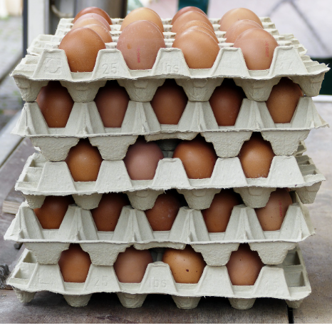Chicken Eggs, All Natural, Farm Raised, Free Range, Non-GMO