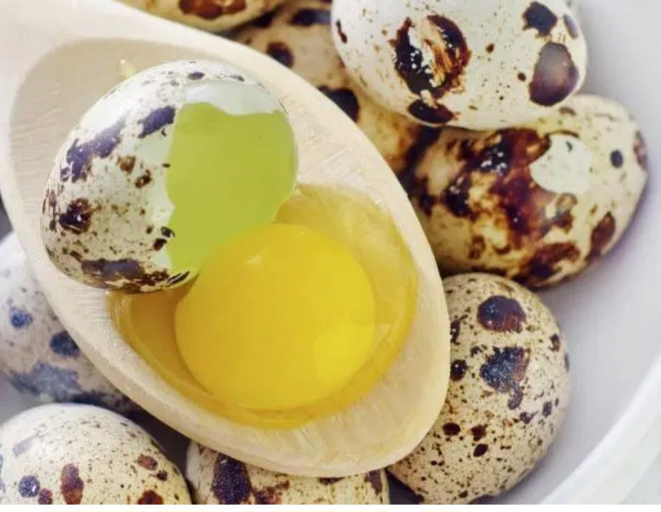 The Health Benefits of Quail Eggs:  A Nutritional Powerhouse