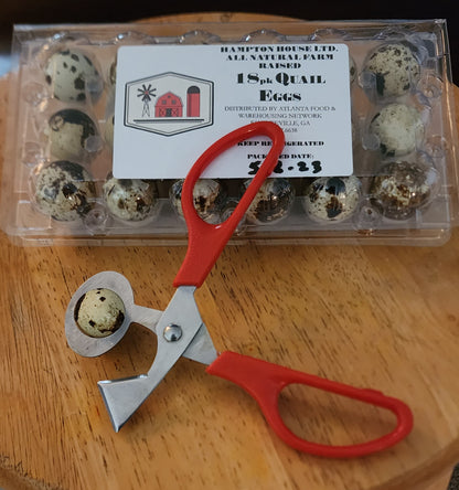 Farm Fresh Quail Eggs 18 pack