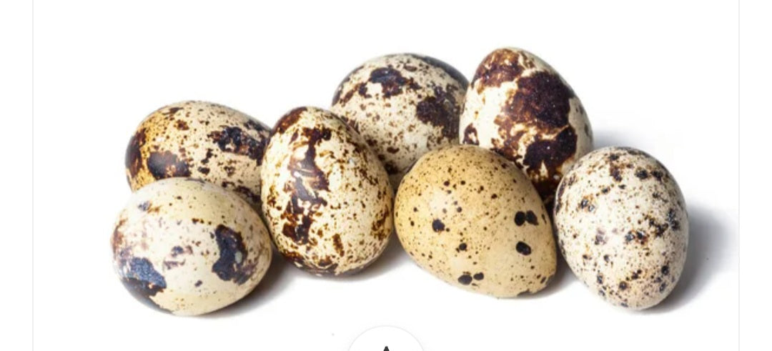 Farm Fresh Quail Eggs 18 pack